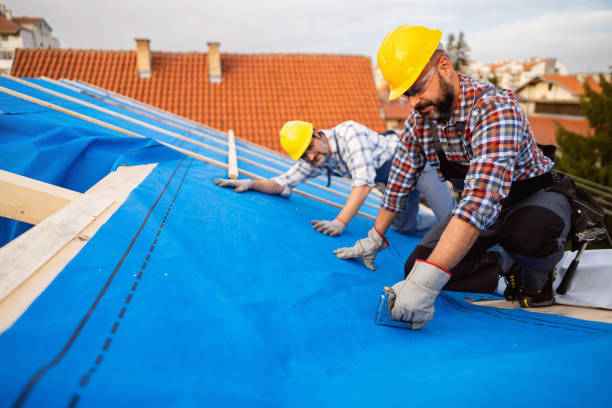 Best Flat Roof Repair Services  in Boise, ID
