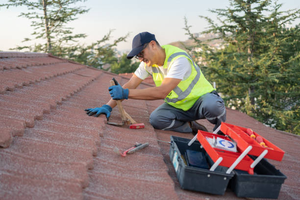Sealant for Roof in Boise, ID